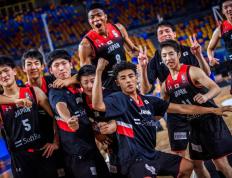 IM体育官方网-日本男篮鏖战黄蜂，字母哥高光表现的简单介绍