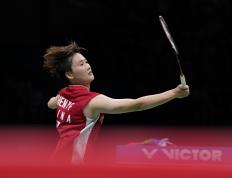 IM体育官方网站-韩国队翻盘德国队，陈雨菲惊艳四座的简单介绍