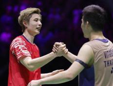 IM体育平台-德国队轻取中国队，石宇奇惊艳四座的简单介绍