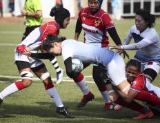 IM Sport-中国羽毛球队完胜印度羽毛球队，陶菲克制霸全场的简单介绍