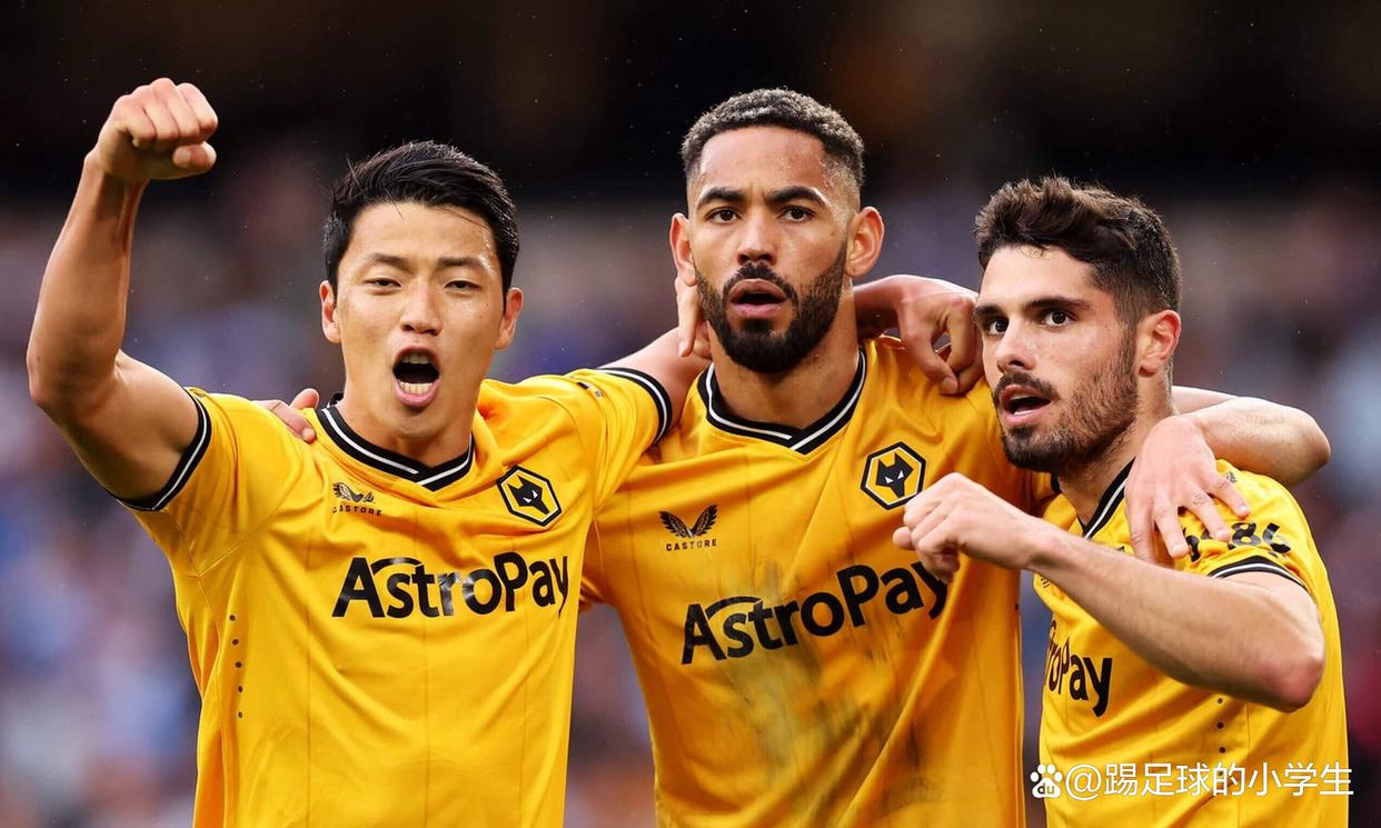 IM体育注册链接-狼队客场获胜，继续保持不败纪录的简单介绍