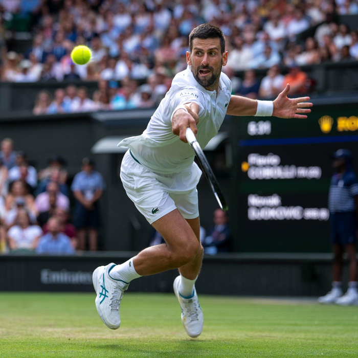 IM体育官方平台-关于法网轻取拉沃尔杯，德约科维奇惊艳四座的信息