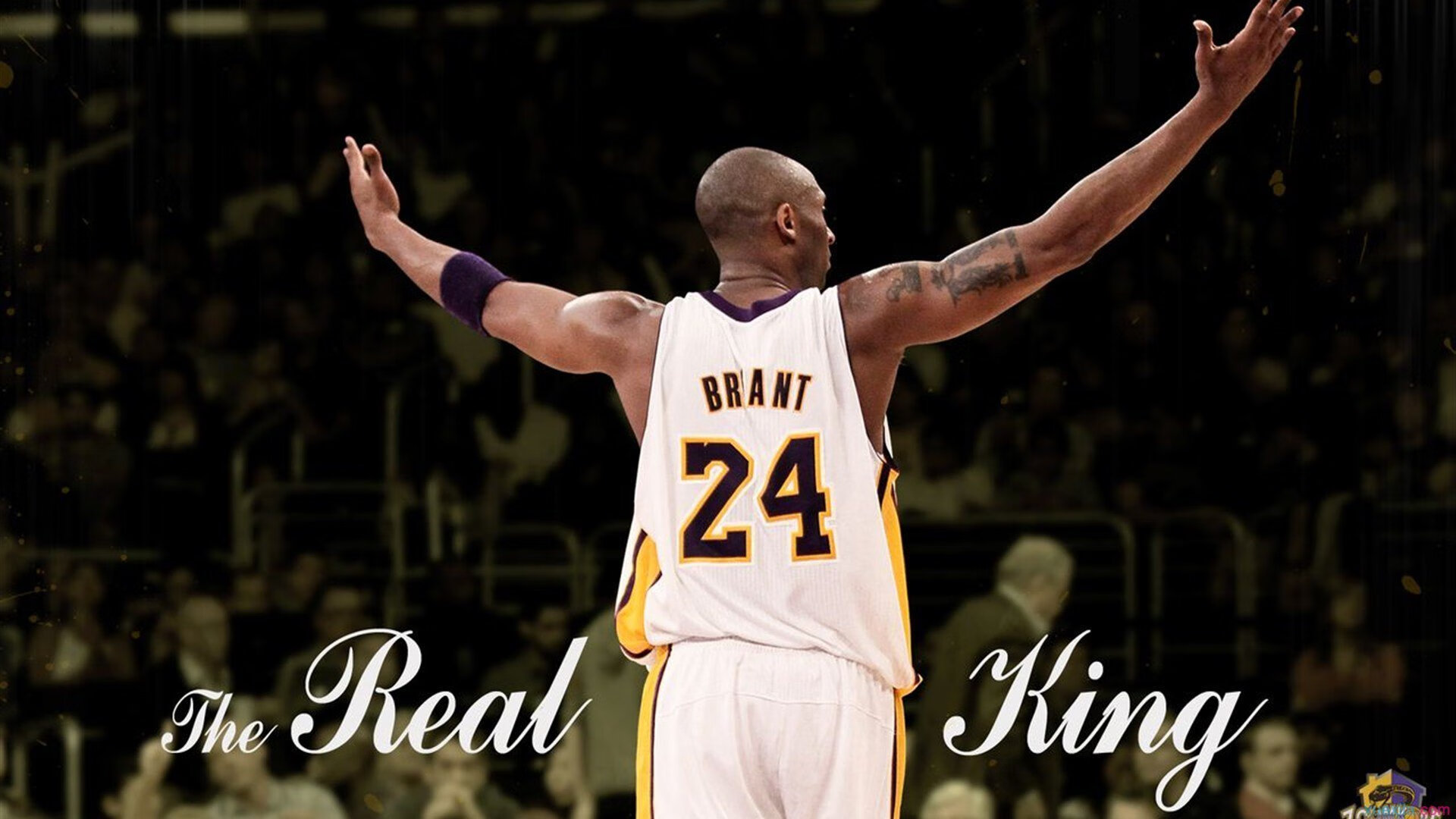 IM体育app-赛道与战场，F1新赛季揭幕战焦点战，芬兰斩落安哥拉